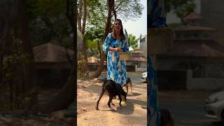 Babita mam feeding dogs its her daily routine 💯❤️ ytshorts doglover babitaji tmkoc jethalal [upl. by Nereus]