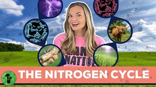 The Nitrogen Cycle [upl. by Siloam]