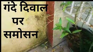 How to White wash in Minimum cost at Home  खुद से बिना खर्च की सफेदी। [upl. by Luise]