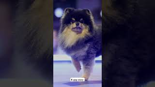 rest in peace yeontan baby 🥺🕊️yeontan rip sad trending viralvideo foryou BTS btsshorts [upl. by Griffie]