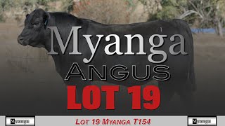 Lot 19 Myanga T154 [upl. by Carpet273]