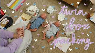 Custom Twin Reborn Babies Box Packing  Kelli Maple [upl. by Ihtak126]