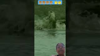 Main bhi sharafat se jita magar 🤔 tiger crocodile videoshort [upl. by Caughey]