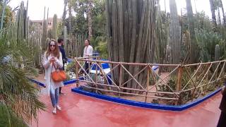 MARRAKECH le jardin MAJORELLE février 2017 [upl. by Novj]