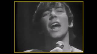 ERIC BURDON amp THE ANIMALS  When I Was Young 1968 HQ [upl. by Levi349]