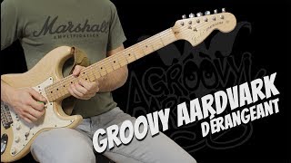 Groovy Aardvark  Dérangeant  Solo de guitare avec partition [upl. by Lletnwahs]