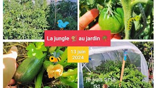 ❗Potager abandonné pendant 15 jours🫣 Taille 🍅 et désherbage en vue 🌱 [upl. by Pammie]