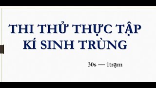 THI THỬ THỰC TẬP KST 2020 YCT [upl. by Lekim]