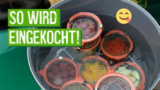 Wohin mit der Ernte Obst und Gemüse einkochen [upl. by Anirb]