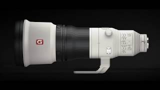 NEW FE 600mm F40 GM OSS [upl. by Perce]