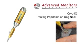 Dr Schwartz Cryosurgery on a Dog Using CryoIQ PRO Cryo Pen with D3 Tip Treating Papilloma on Neck [upl. by Marne609]