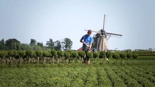 Werken in de boomkwekerij wwwtalentboomnl [upl. by Lap]