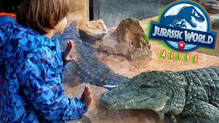 DINOSAURIOS Jurassic World Alive en el ZOO🐊TREX SARCOSUCHUS y KAPROSUCHUS con COCODRILOS del NILO [upl. by Airliah]