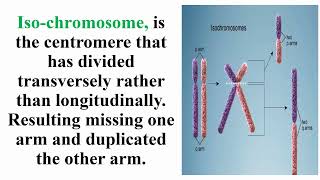 Iso Chromosome Meaning [upl. by Asnarepse]