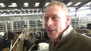 Visit to Sedgemoor Marketcattle calves sheep amp chickens [upl. by Ataeb]