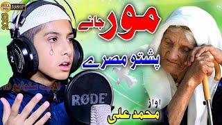 A zama Mori khori Ma shee Pashto Nazam bv Muhamamd Ali [upl. by Bel135]