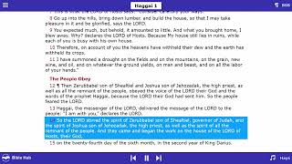 Audio Bible Haggai [upl. by Atat613]