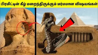 எகிப்தில் இரகசிய அறையில் மர்மமான கண்டுபிடிப்புகள்  Mystery Inside Pyramid  TAMIL AMAZING FACTS [upl. by Dorin992]