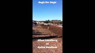 Square Bodies at Bogs for Dogs [upl. by Satterfield]