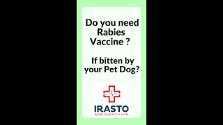 Do you need rabies vaccine if your pet dog bites you shorts [upl. by Nnylaehs]