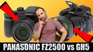 Panasonic Lumix FZ2500FZ2000 vs Panasonic GH5 [upl. by Leerzej]