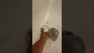 Tub Drain Protector  Best Drain Protector on Amazon [upl. by Aninahs]