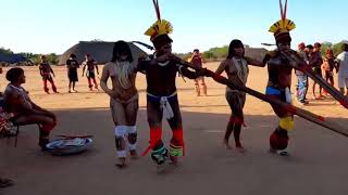 Tribal dance Sons e Cores do Xingu Horizonte [upl. by Ahsatsan]