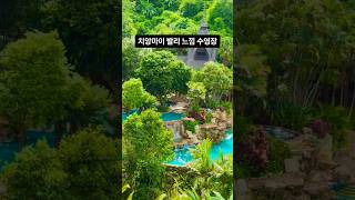 발리 우붓 감성 그대로 치앙마이 리조트의 힐링 수영장🌿🏊‍♂️ [upl. by Vachil]