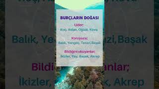 🌟 Burçların Doğası astroloji astrolojidefteri [upl. by Laurianne]