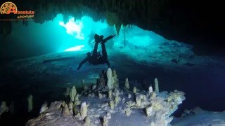 Cenote diving Dreamgate Mexico [upl. by Asiel]