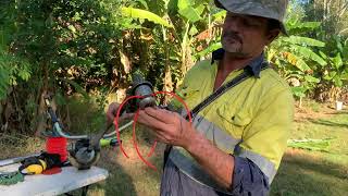 Syntropic Agroforestry in Australia Video 50 [upl. by Haraz]