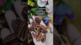 Pecan nutshealthypremium qualitywholesale pricequantityavailble on wwwkharibaolivip🎉🎊🥰👍🙏 [upl. by Ahsam]