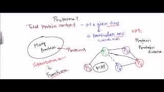 Proteome [upl. by Yeldnarb]