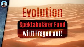 Etwas stimmt nicht mit unserer Evolutionstheorie [upl. by Jerusalem]