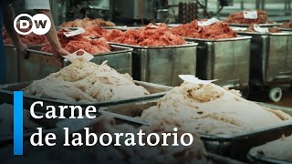 El consumo de carne y sus alternativas  DW Documental [upl. by Simetra]