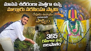 మానవ శరీరంలా మెత్తగారోమాలతో ఉన్న నరసింహ స్వామి  Malluru Narasimha Swamy Temple  Malluru Temple [upl. by Nnyled181]