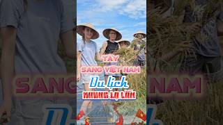 Tây sang Việt Nam du lịch bữa nay nhưng lạ lắm vietnam dulich travel vietnamese news trending [upl. by Lesab]