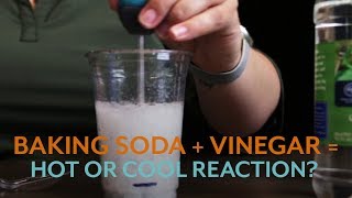 Vinegar and Baking Soda Reaction Heat Up or Cool Down [upl. by Elehcim]