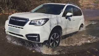 Subaru Forester deep water crossing [upl. by Donni477]