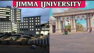 ስለ Jimma University ማወቅ ያለብችዉ መረጃ All you need to know about Jimma University [upl. by Ardnuhs]