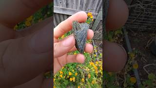 Beautiful epidote cluster thefinders gemstone [upl. by Attelrahs236]