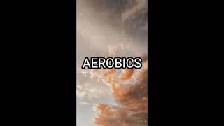 Aerobic and Anaerobic Exercises [upl. by Hock]