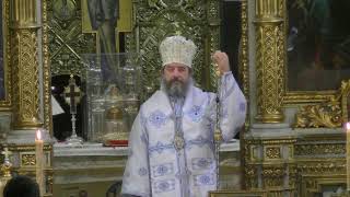 ⭕ LIVE Catedrala Mitropolitană din Iași – Miezonoptica Utrenia Sfânta Liturghie 10 oct 2024 [upl. by Airdnax]