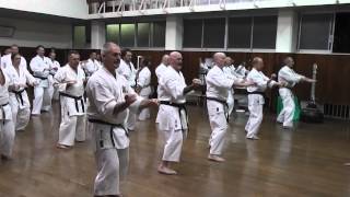 Sanchin Kata Jundokan 2013 [upl. by Avehs]