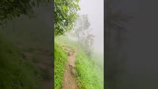 elum nature foryou quran bestvoice tilawat recitation lovelyweather weather ytshorts love [upl. by Bel627]