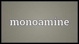 Monoamine Meaning [upl. by Nyer]