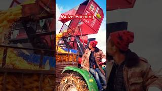 Maize Farming ytfeed ytshots trending viral [upl. by Yelsnya247]