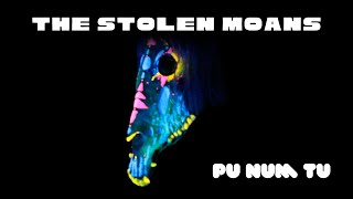 OMG🤯 You Wont Believe What Happens in This Music Video The Stolen Moans  Pu Num Tu 🪩 [upl. by Gaile]