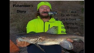 Afternoon Brisbane River Fishing With A GIANT Catfish  Fishermans Diary Ep 45 [upl. by Imekawulo]