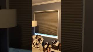 Hunter Douglas Duette® Blackout Honeycomb Shades in Nursery [upl. by Neilson]